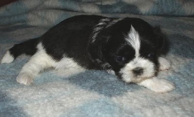 Magic 2.JPG (37.39 KiB) Viewed 4326 times Magic 2.JPG