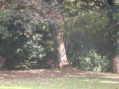 000_0002.JPG (1.55 MiB) Viewed 1276 times 000_0002.JPG