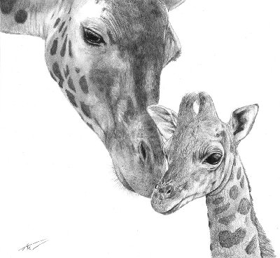 giraffes_by_zander_kun-d34ih3k.jpg