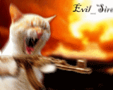 KillerCatAnimation.gif